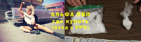 трава Гусиноозёрск