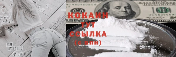 трава Гусиноозёрск