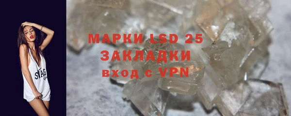 трава Гусиноозёрск