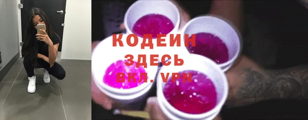 трава Гусиноозёрск