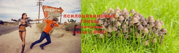 трава Гусиноозёрск